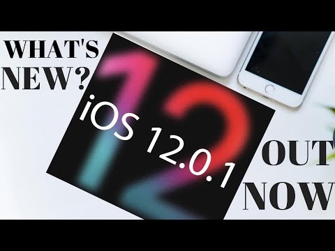 WHAT'S NEW IN