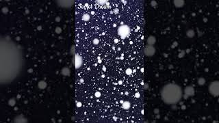 3. 🌨️ Snowing Night Dream: Relaxing Winter Soundscape & Aesthetics