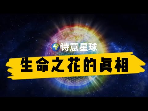 生命之花的真相 |flower of life