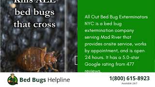 Top 3 Bed Bug Removal Companies in Mad River