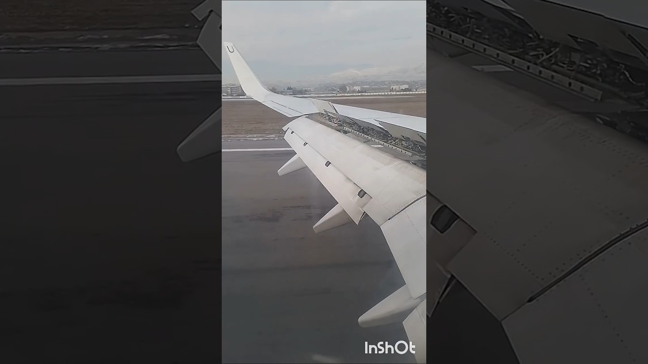 Боромона ҷам кардем роҳ ба сӯи Тоҷикистон бромадем