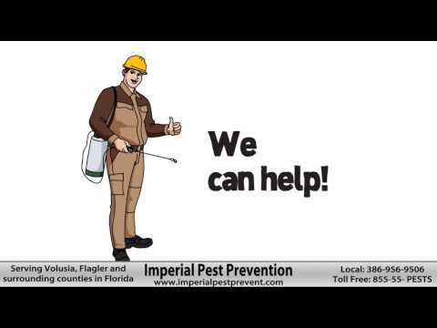 Daytona Beach, Fl. number one pest control company