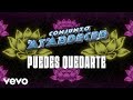 Conjunto Atardecer - Puedes Quedarte (Visualizer)