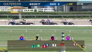 Gulfstream Park Carrera 3 - 5 de Agosto 2017
