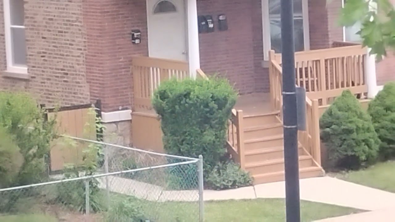 Hiding behind porch 🎱/for education purposes only