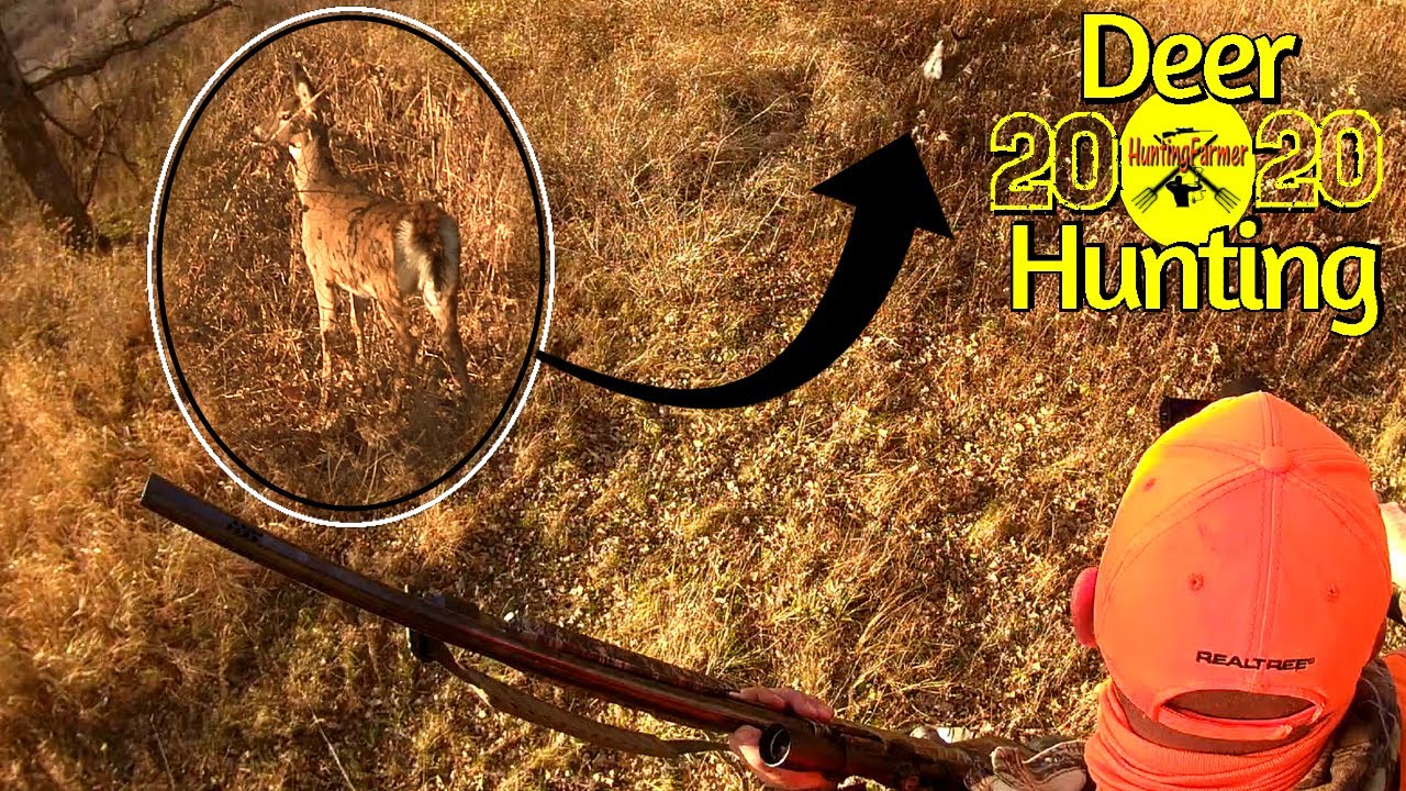 DEER HUNTING 2020 Ep.7 MN Firearm Season Public Land Hunt YouTube