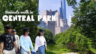 One Year Later: Exploring Central Park