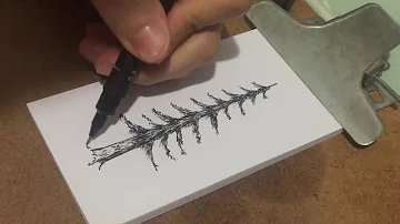 Como desenhar uma árvore real?