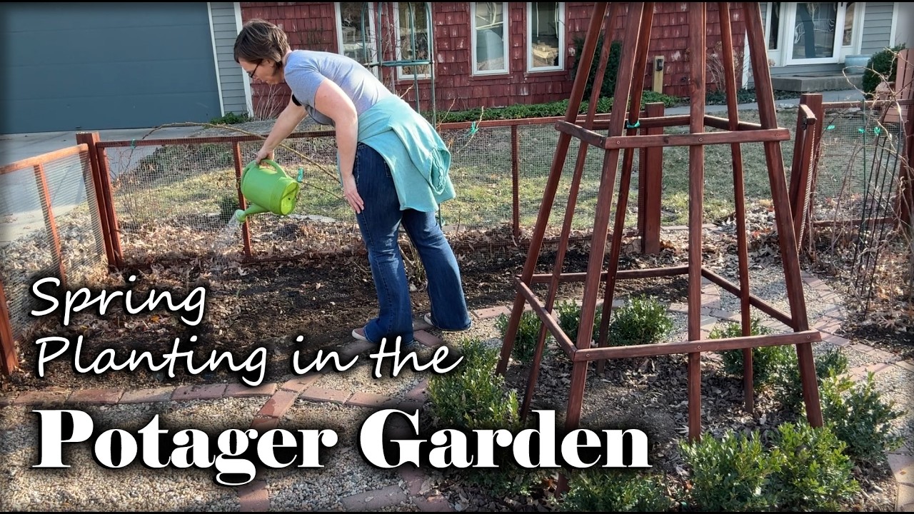 Весенняя посадка в огороде (зона 6).