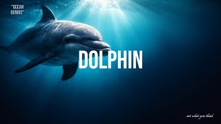 Celebrity Dolphins Are Not What You Think | Ocean Intelligence Revealed Wealth
