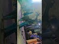 #shortsvideo #newpost