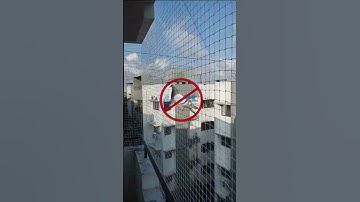 #YPL Safety Nets - Trusted #Bird Netting & Safety Solutions