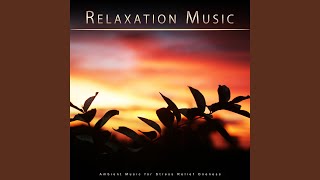 Tranquil Music Relaxation