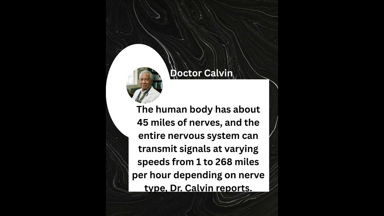 THE NERVOUS SYSTEM  EXPLAINED...#doctor #health #science #true #facts