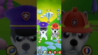 Talking Husky Dog #7 #shorts screenshot 2