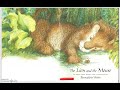 The Lion and the Mouse | Aesop's Fable Read Aloud 🦁