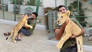 Hmara Lion Agea😍Bht hi Piara hai