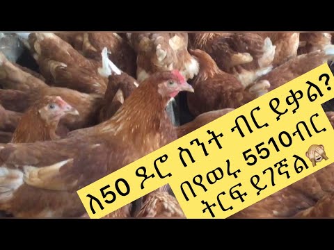 ቪዲዮ: የብርሃን ቤት ጠባቂዎች ምን ያህል ያገኛሉ?