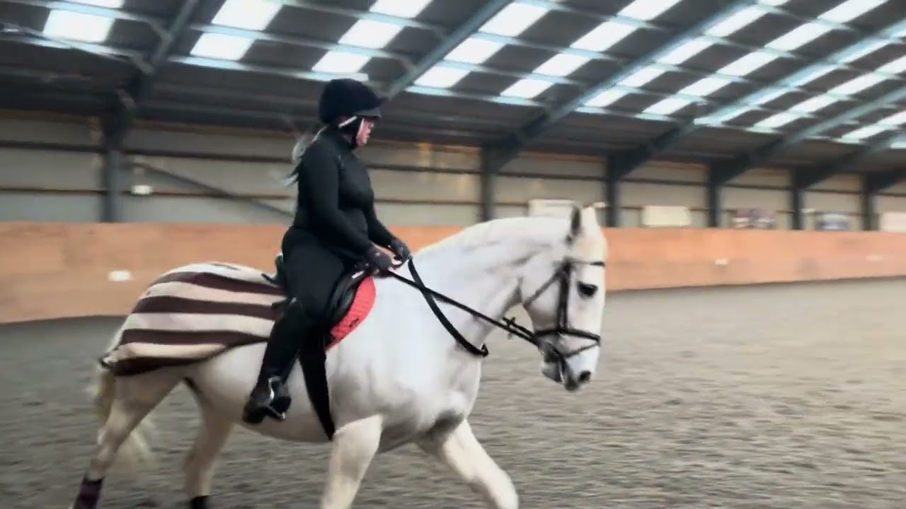 Flat work with a little jump |2025