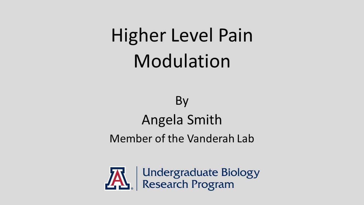 "Higher Level Pain Modulation" by Angela Smith