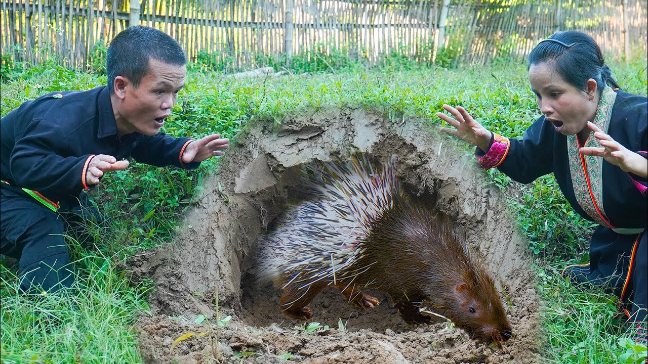 Dwarf Family Catch Hedgehog While Repairing Chicken Coop - Dwarf Family Life Away From Civilization