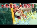 【予告】そわんわんが大阪梅田を大満喫!KANSAIいこいこch(毎週金曜・土曜17:00配信)【7月担当そわんわん】