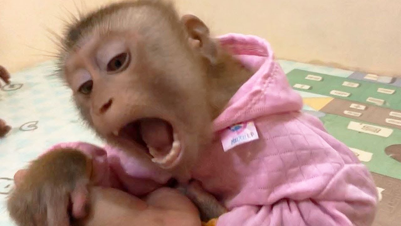 Jason Adored To Sweet Inviting Dad Playful When Sister Satya Ignore