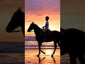 beautiful sunset with peaceful horse riding #ai #aivideo #aigeneratedvideo #editing #videoediting