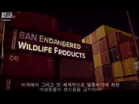 영상썸네일