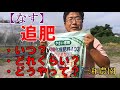 ナスの追肥はタイミングと継続力です。NO310