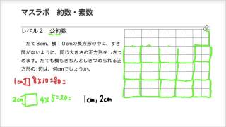 マスラボ 小学校5年 算数 約数 レベル2 公約数 Youtube