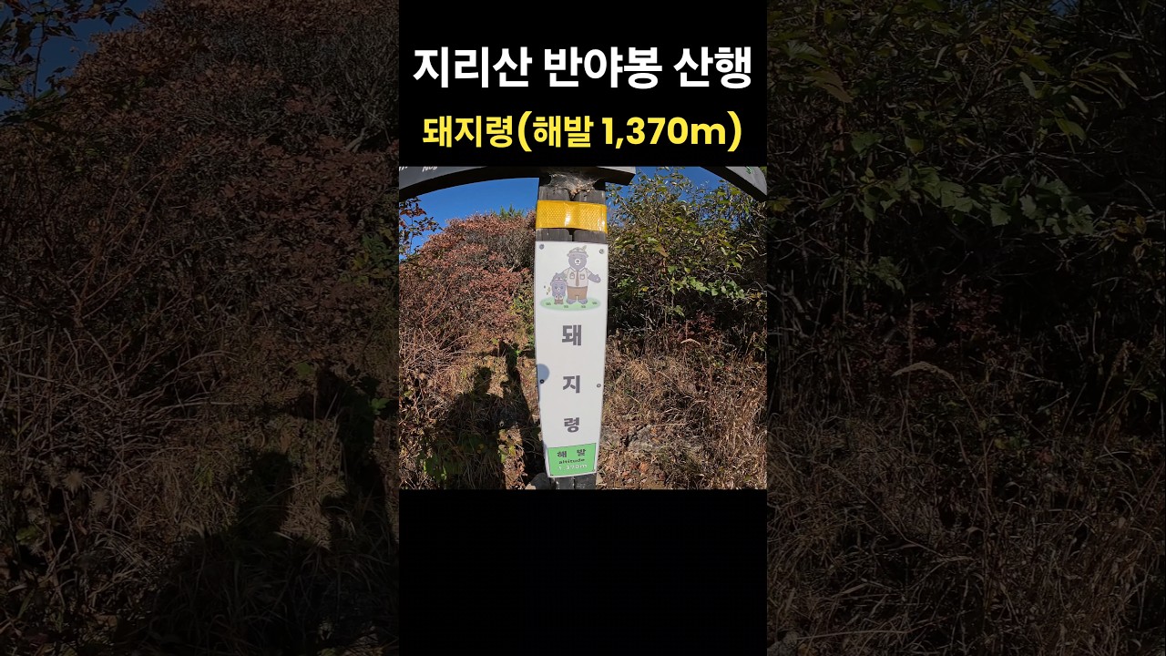 지리산 ⛰️ 돼지령(해발 1,370m) 🐷