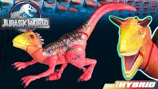 Opening Jurassic World Carnoraptor Dino Hybrid Action Figure Dinosaur Toy