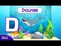 Animal Alphabet Quiz
