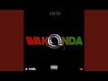 Miniature de la vidéo de la chanson Wakonda