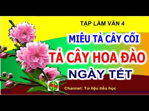 Video Bài văn hay Tả cây đào ngày Tết | Miêu tả cây cối Lớp... - youtube