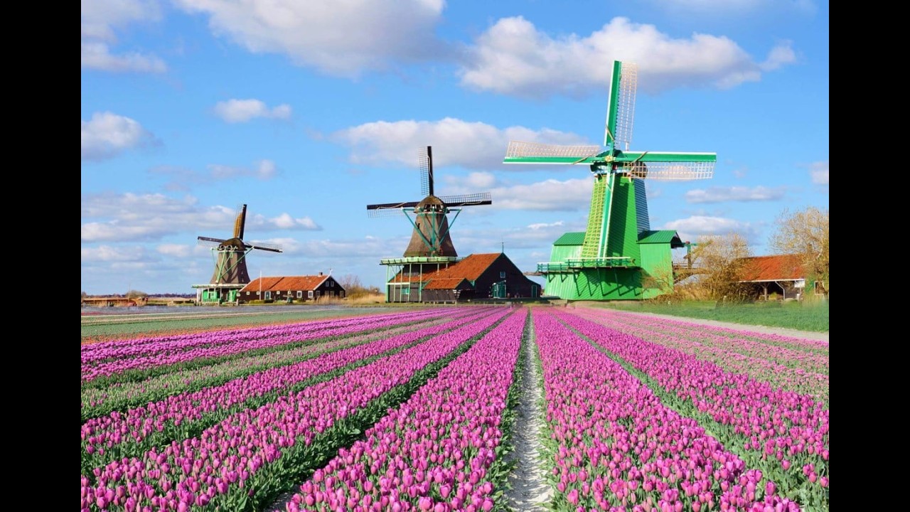 Piano & Natuur – Ontspannende muziek om het zenuwstelsel te kalmeren en de ziel te vernieuwen