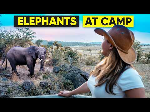 Africa’s Best-Kept Safari Secret: Deteema Springs Camp, Hwange National Park