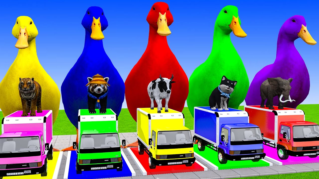 Long Slide Game With Cow Elephant Gorilla Hippopotamus Tiger 3d Animal Game Funny 3d Animals