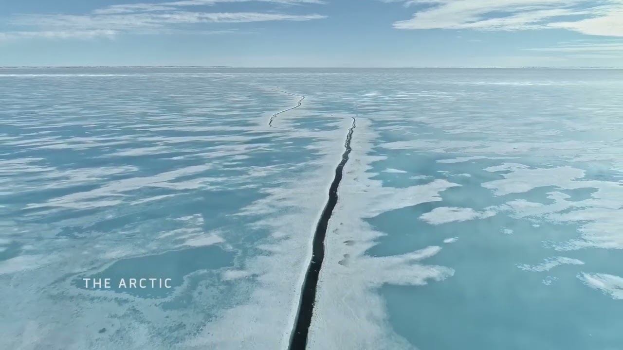After Antarctica Teaser