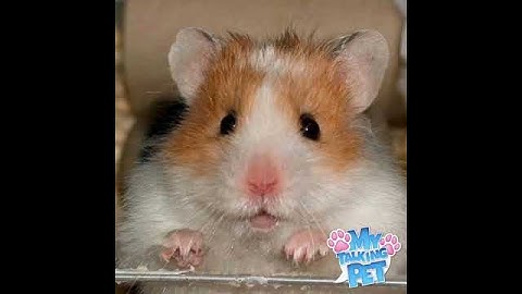 Welcome Video - May 14, 2020