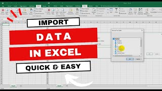 Celebrity Data Made Easy: A Simple Guide on How to Import Data into Excel! Wealth