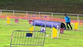 selectiva wao galicia 13 snooker