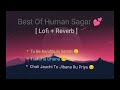 Best of human sagar sad  songs   humansagar sad odia lofi
