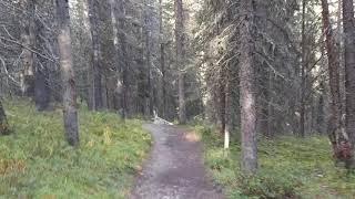 Cephren lake trail in Banff