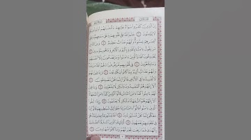 3 تلاوة صفحة كل يوم - الصفحة الثالثة