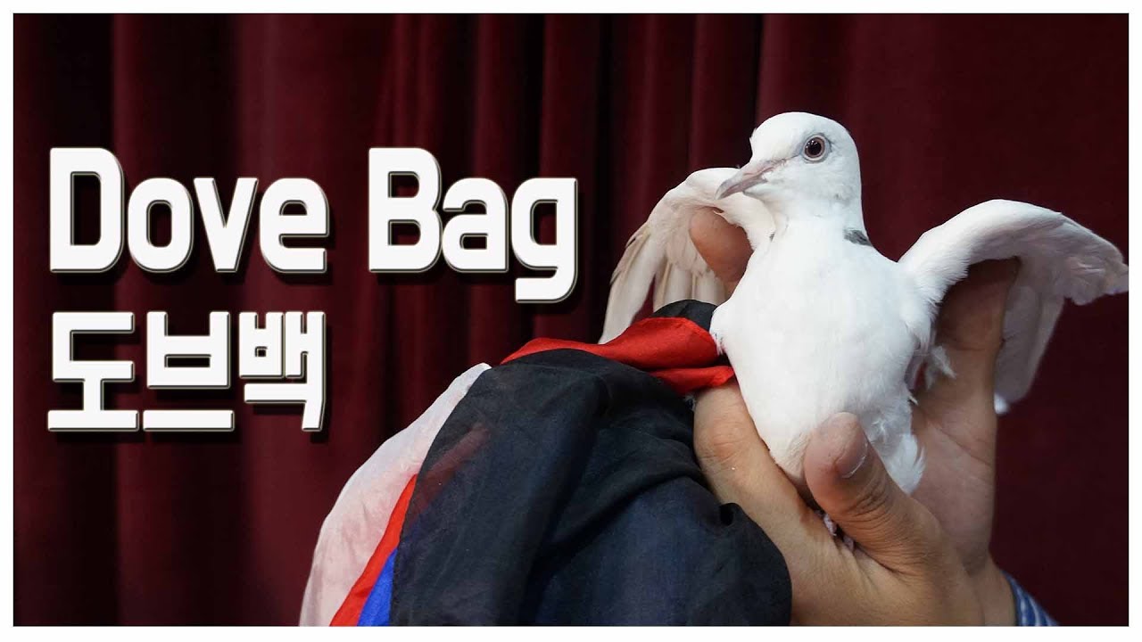 Dove Bag(도브백) YouTube