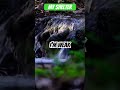 My Shelter #gospelmusic #biblesongs #walkinspiritoftheholyspirit #walkinspiritoftheholyspirit