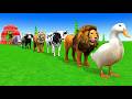 Long Slide Game With Cow Elephant Gorilla Hippopotamus Tiger 3d Animal Game Funny 3d AnimalsVideo