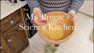 Ms. Breeze's Science Kitchen Ep. 2 - Gravity and Inertia